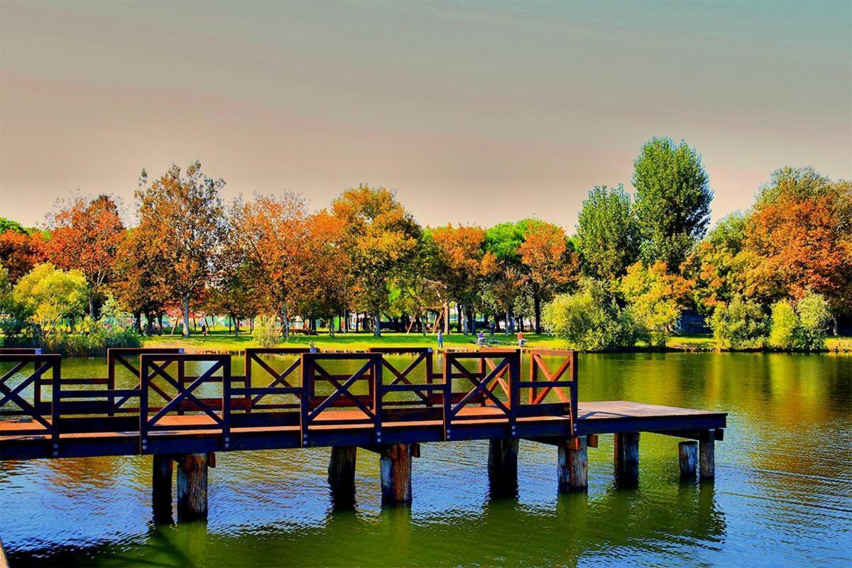 Hotel Adriatico Bellaria-Igea Marina Dış mekan fotoğraf